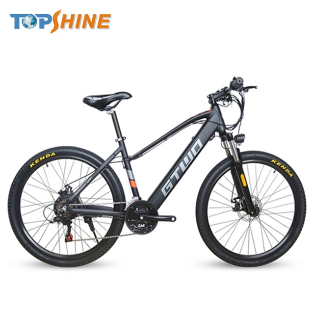 250W 36V Mountain Electric Bike with CE En15194 Certificate and GPS Colorful Odometer E Message