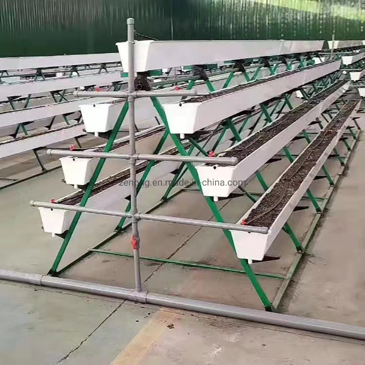 Easy Installation and Transportation Vertical a-Style Frame with PP/PVC Channels for Greenhouse Hydroponice