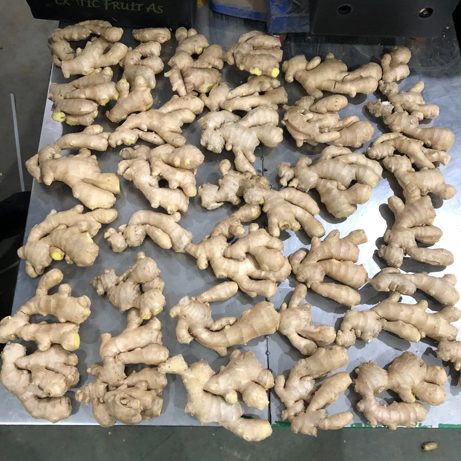 Chinese Highest Euro Quality Standard Factory Air Dried Ginger