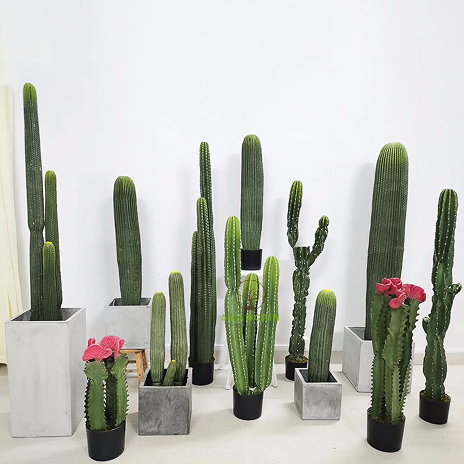 Kaktuspflanzen Künstlicher Kaktus Topfpflanzen Desert Style