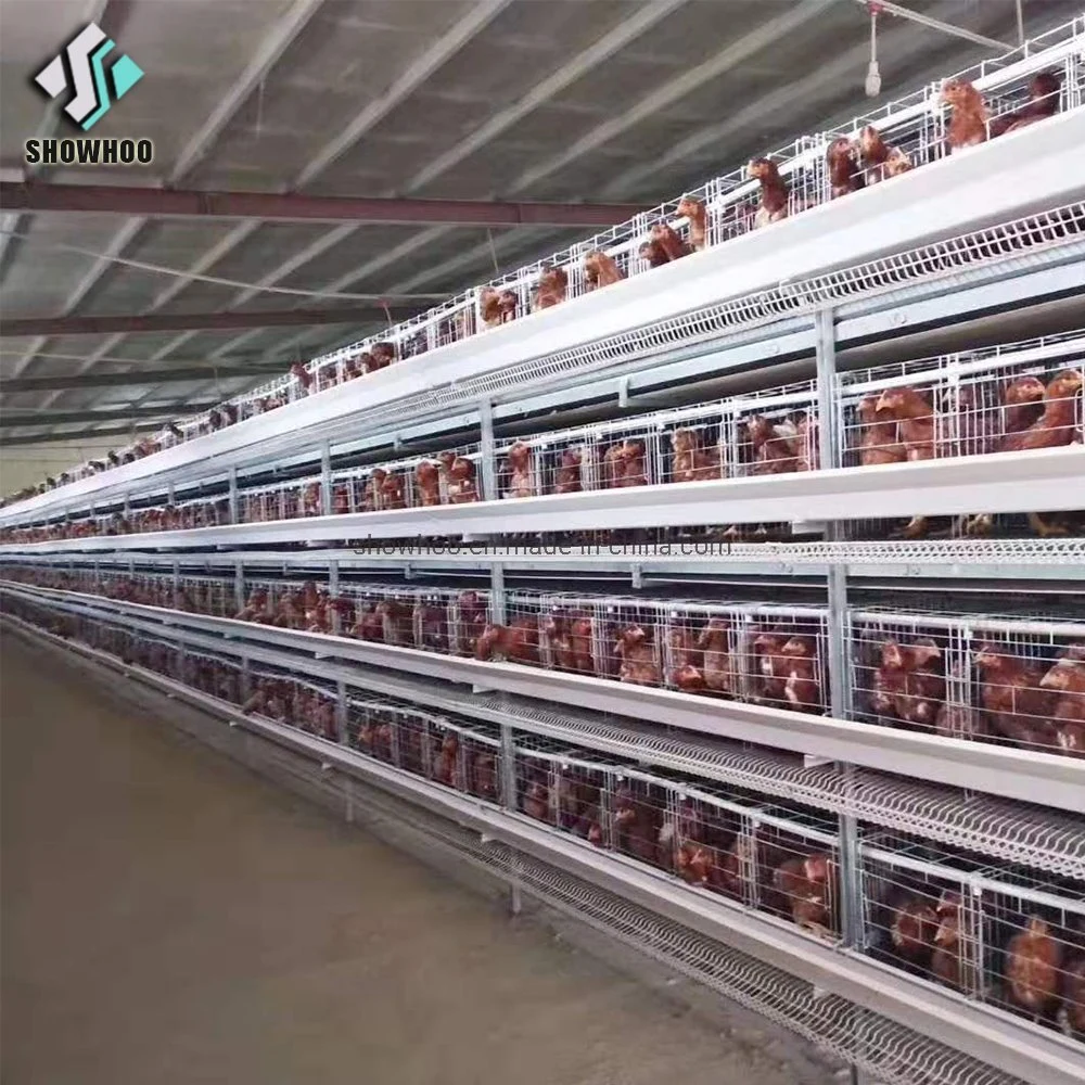 Prefabricated Steel Structure Egg Cage Chicken Shed Poultry Farm