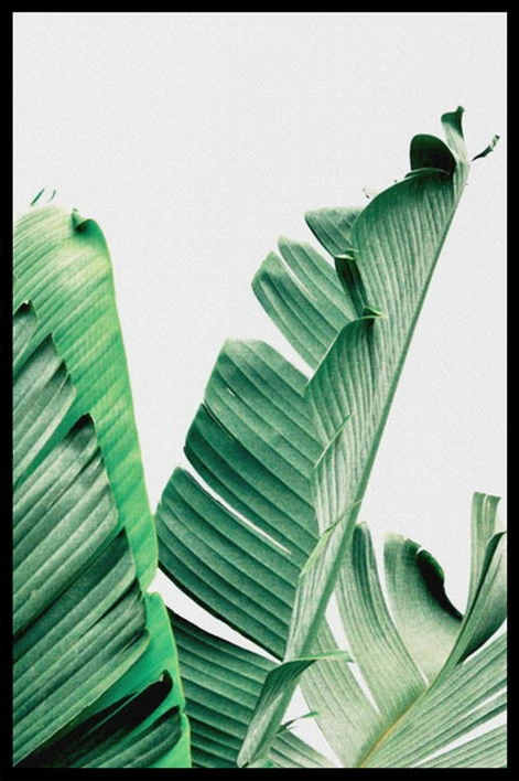 Plant Leaves Leaf Botanical Green Style Custom Cheap Home Hotel Decor Simple Wall Art Painting Artistic Framed Picture