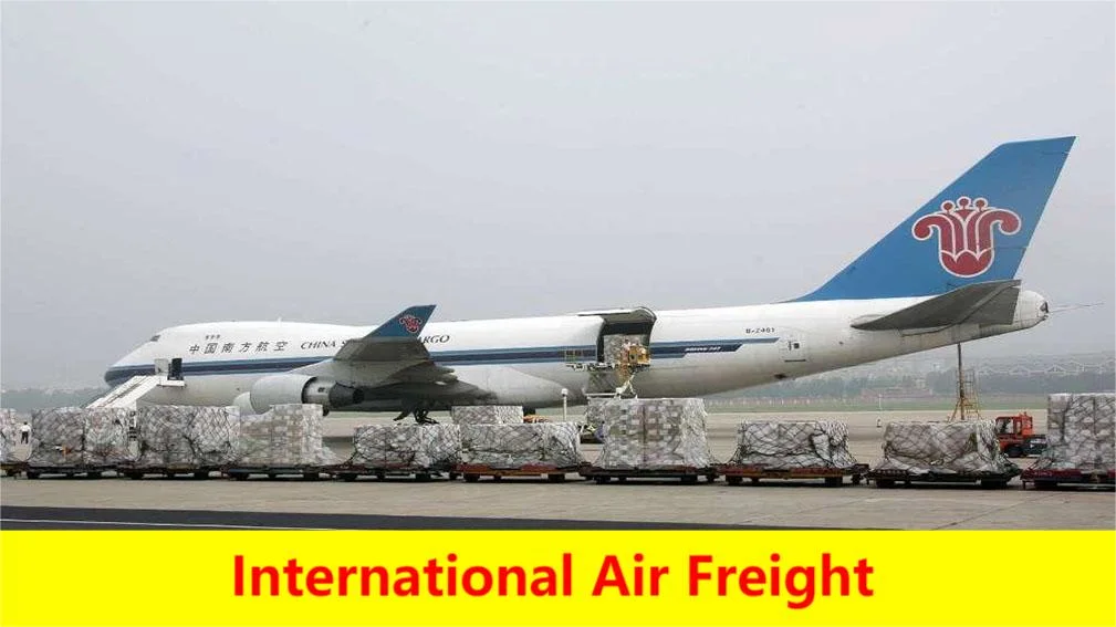 Amazon Fba International Logistics Sea/Ocean Freight/Shipping Service From China to Spain