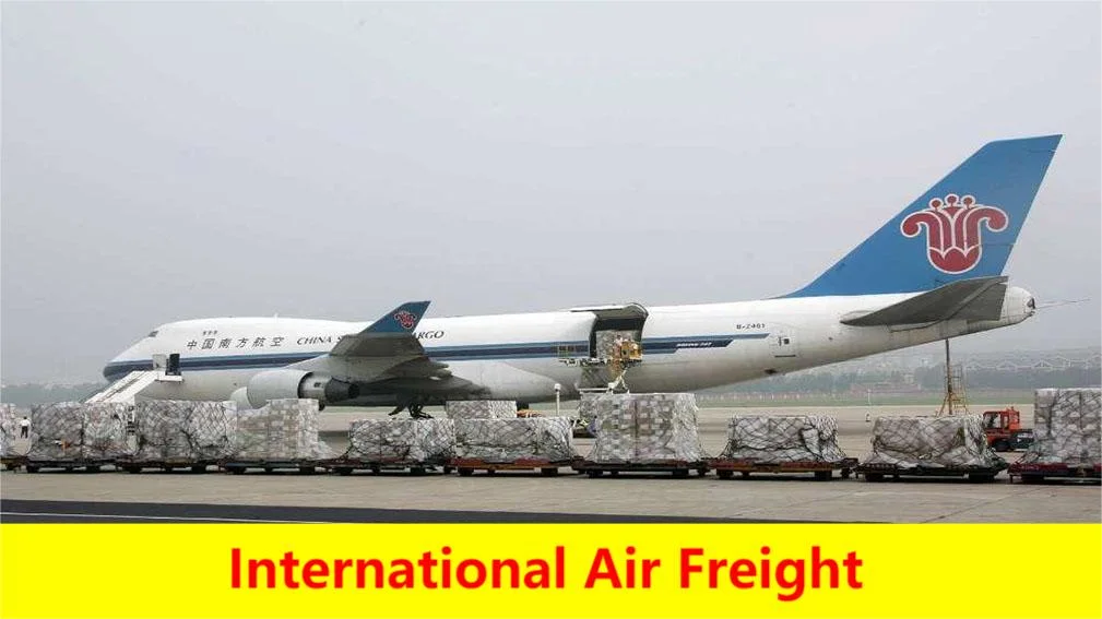 أمازون Fba International Logistics Sea/Ocean Freight/Shipping Service من الصين إلى إسبانيا