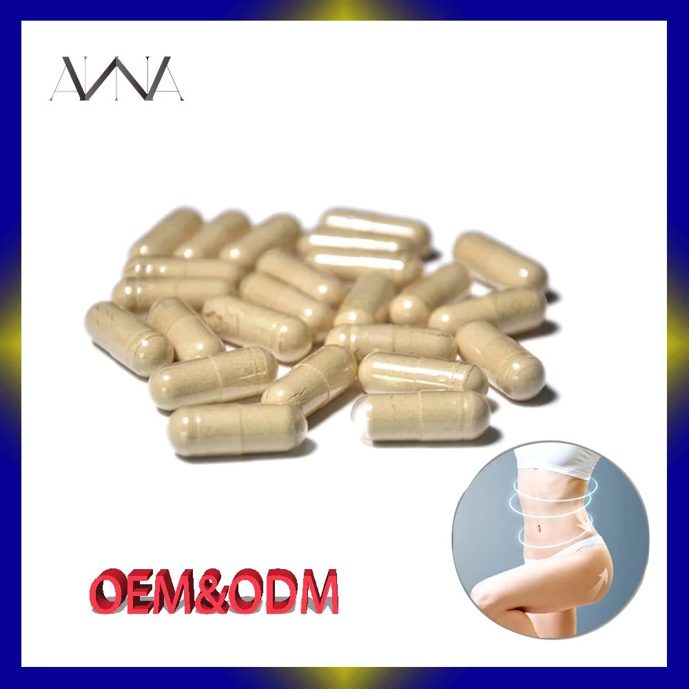 OEM Slimming Capsule Sibu Weight Loss Plant Extract Maca Powder