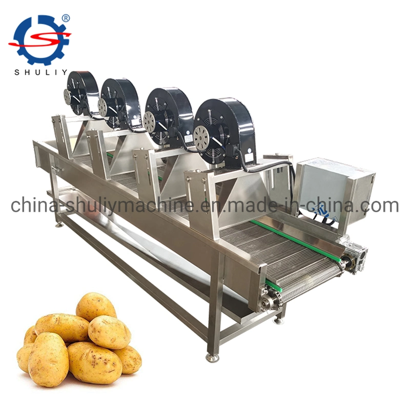 Mesh Belt Food Air Drying Equipment Fruit Vegetable Air Cooling Machine