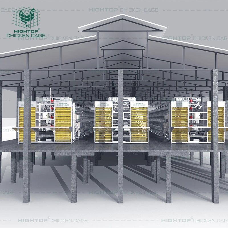 Hightop Turnkey Solutions A Type Automatic Poultry Laying  Hens Egg Layer  Battery Chicken Cages