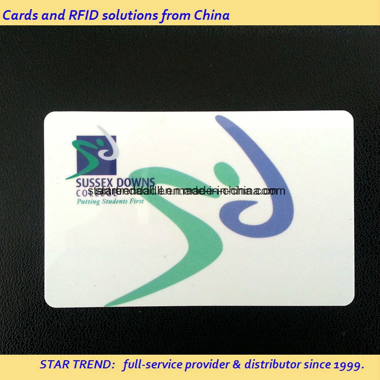 Pantone Color with Magnetic Strip for ID Card