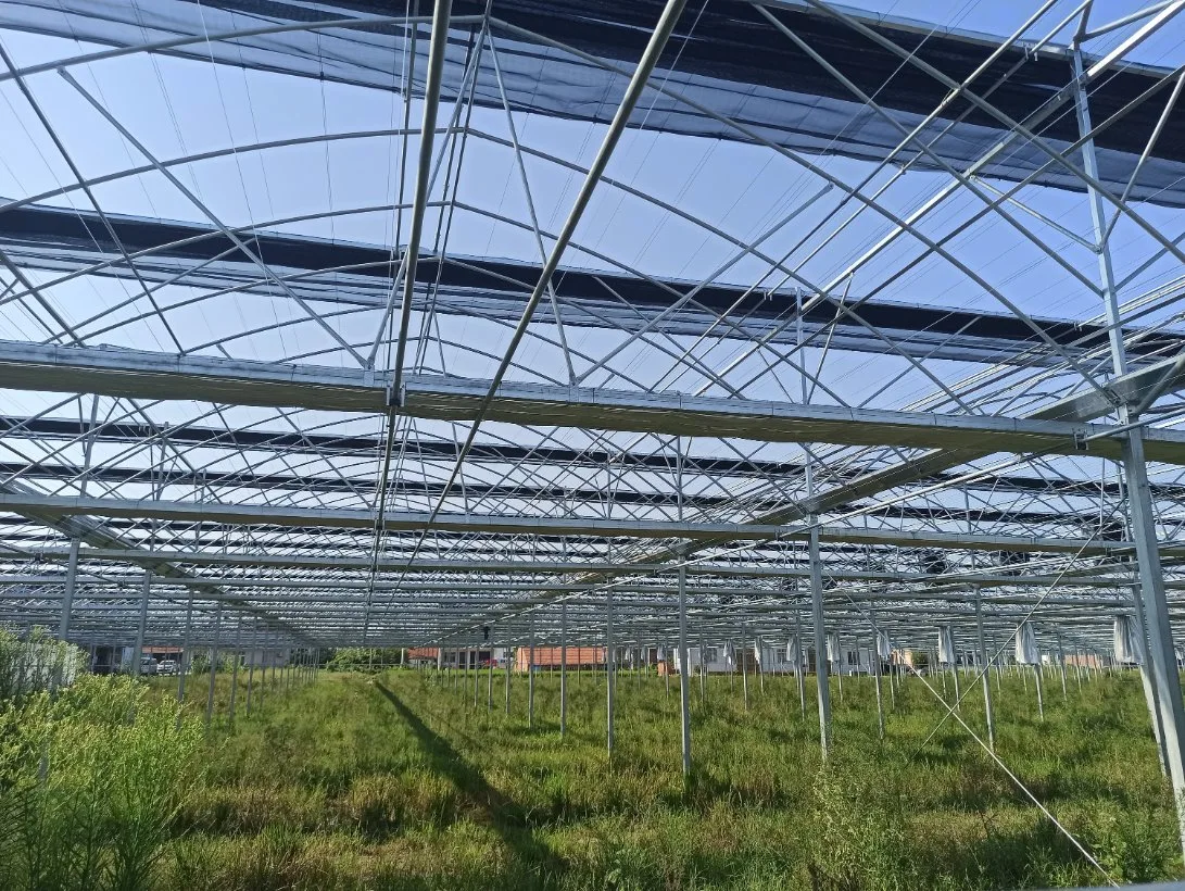 El bastidor de acero galvanizado comercial Cristal de la casa verde de frutas y verduras