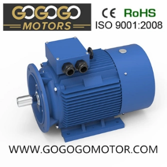 Y2 Series Cast Iron Housing Three Phase AC Electric Motors