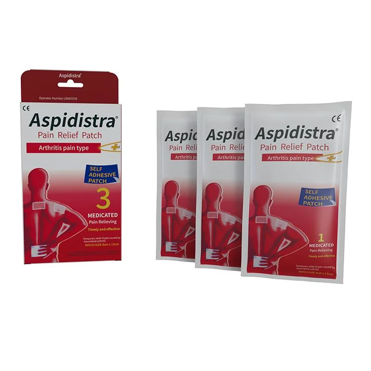 Muestras gratuitas efecto rápido Artritis herbal China alivio del dolor articular Parche