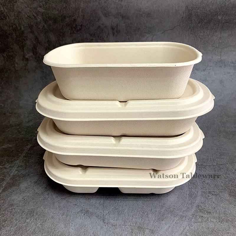 Biodegradable Natural Food Packaging Bagasse Food Container Oval Salad Tray with Lid