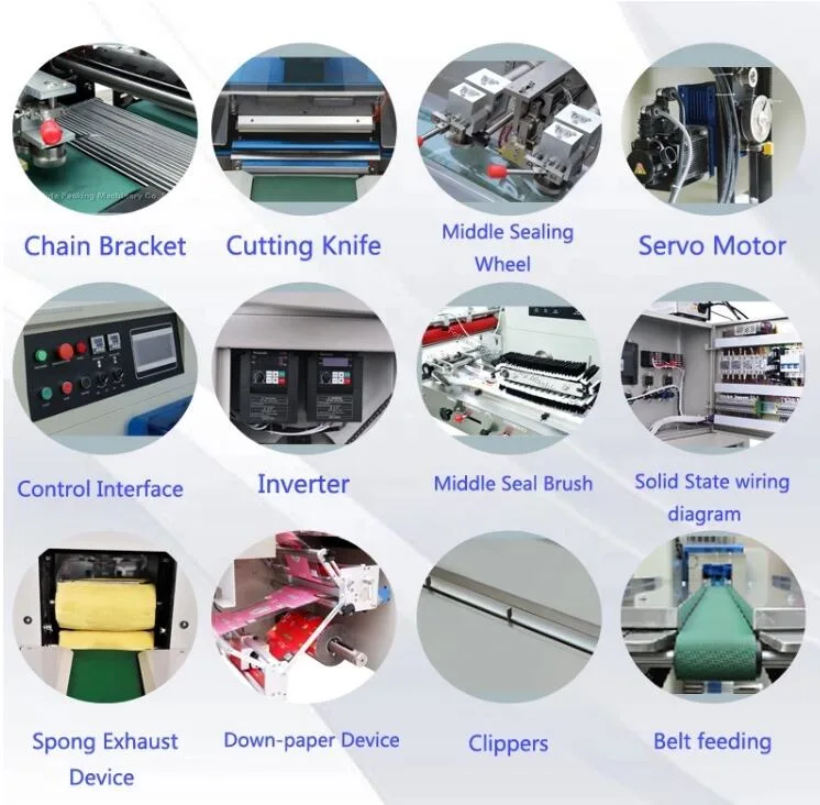 Auto Servo Motor Pillow Packing Equipment