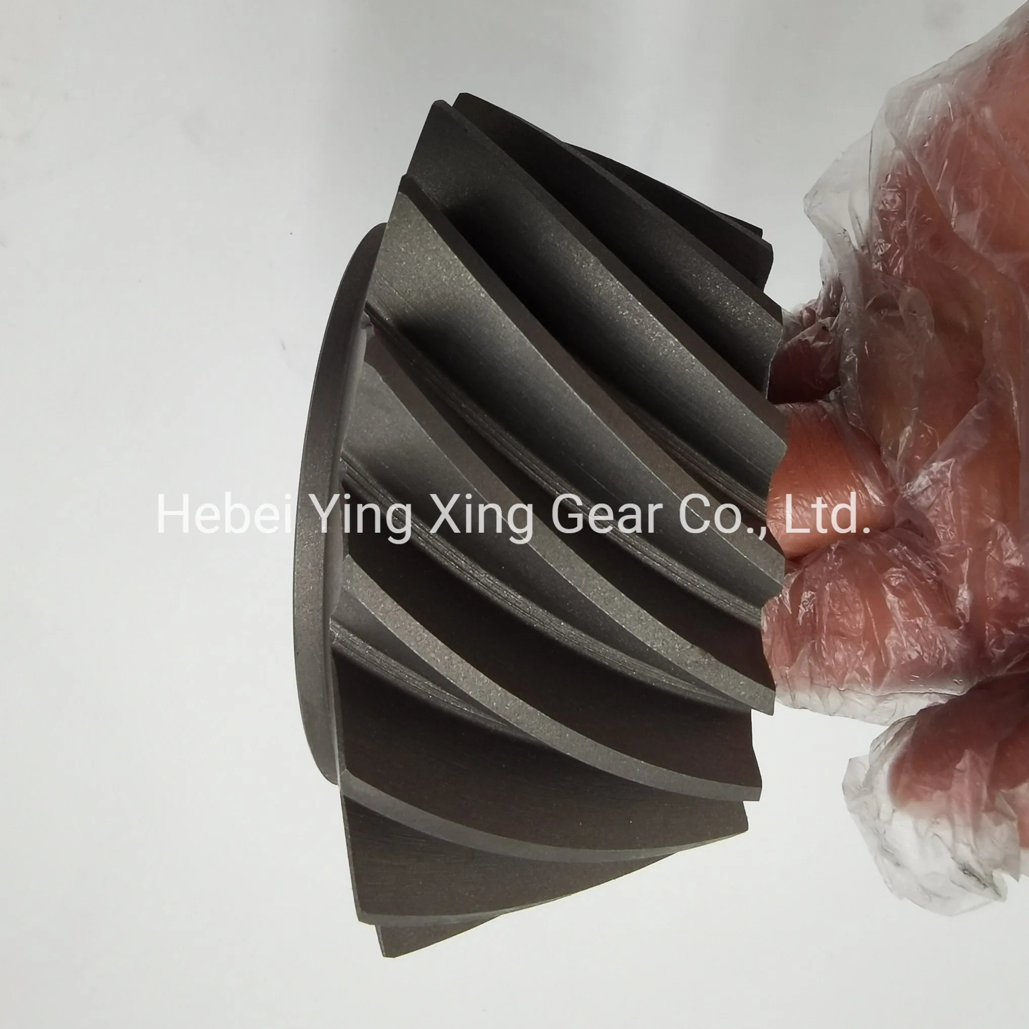 Module 6.9 and 17 Teeth Customized Gear for Oil Drilling Rig/ Construction Machinery/ Truck