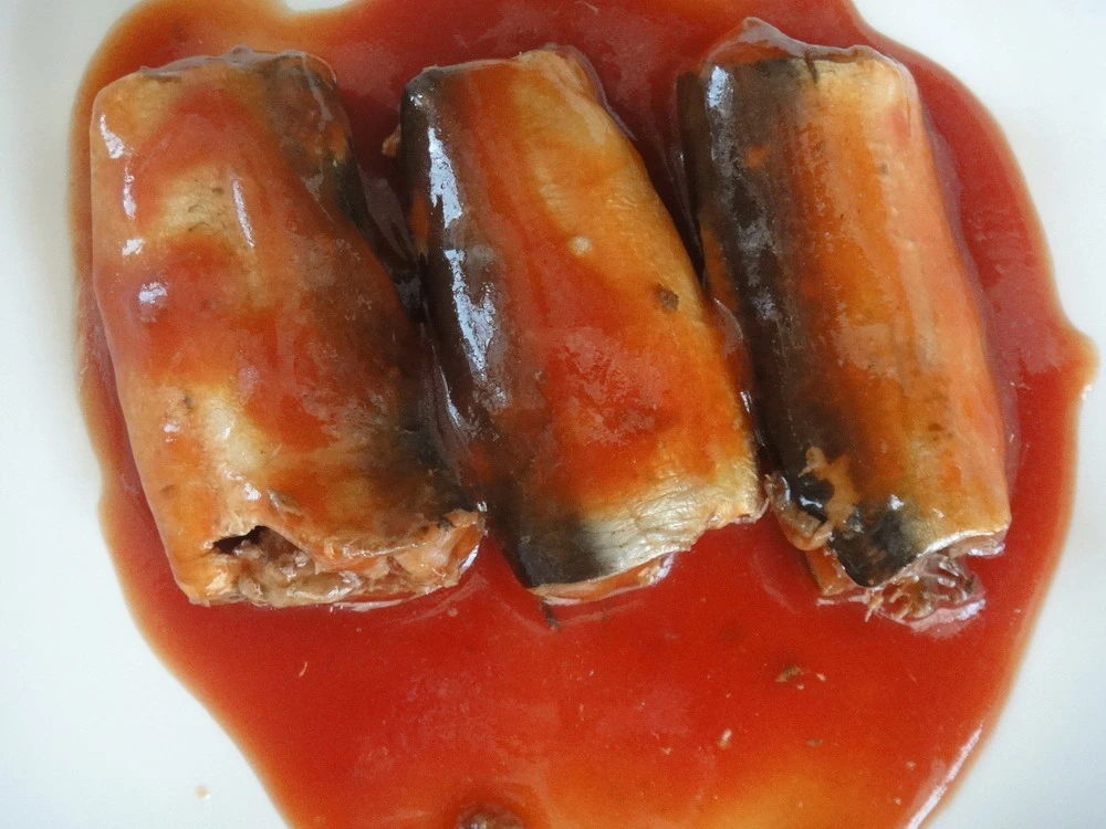 China Canned Sardine Fish in Tomato Sauce/Oil/Brine