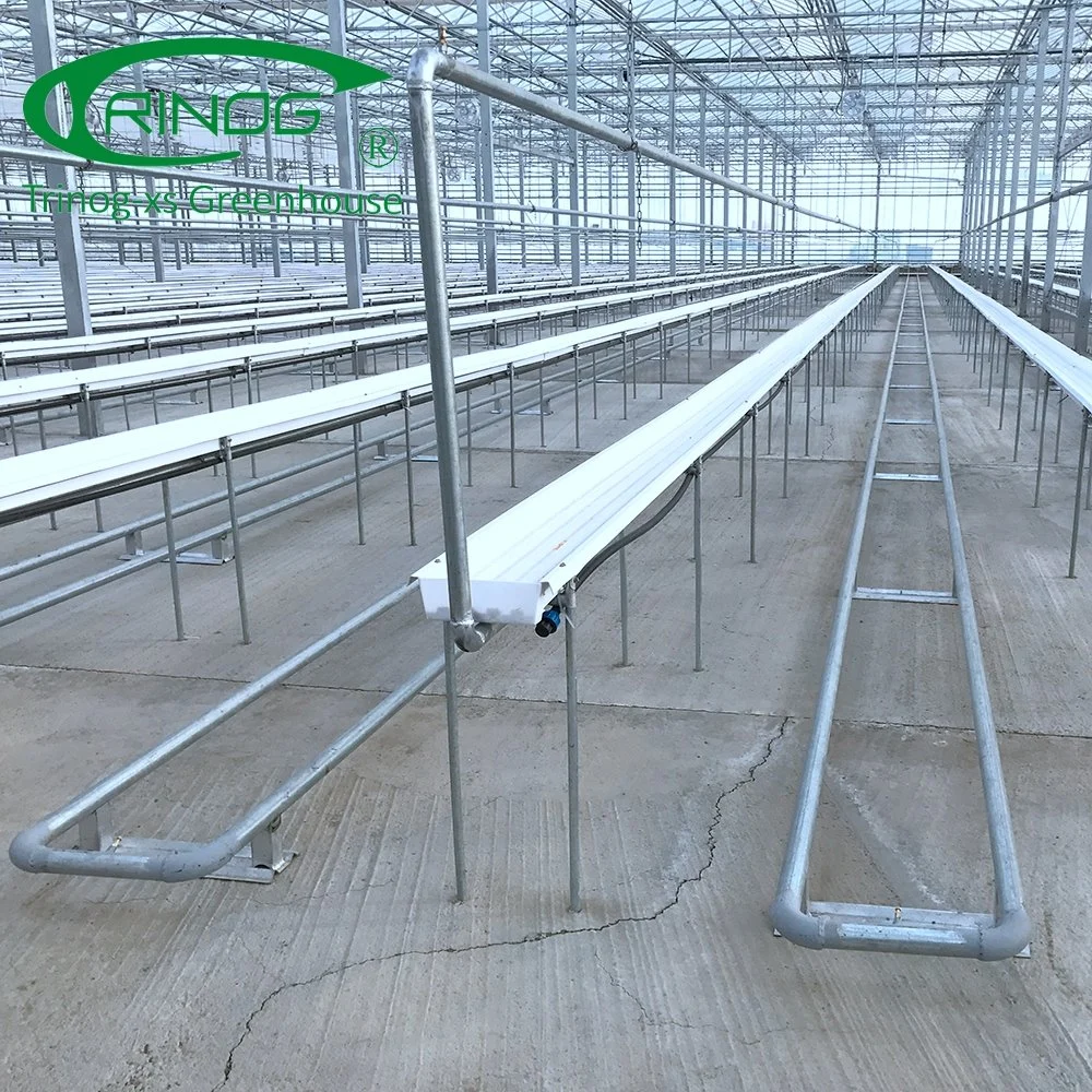 Large farm used  pepper hydroponics system for vegetable farm