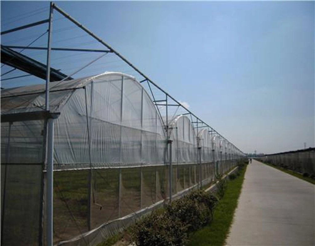 Tianjin Youfa Brand Drip Irrigation System Galvanized Pipe for Green House