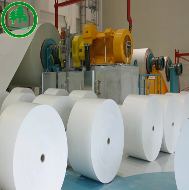 Office Printing Paper White Woodfree Offset Paper Bond Paper for Books Notebooks Printing