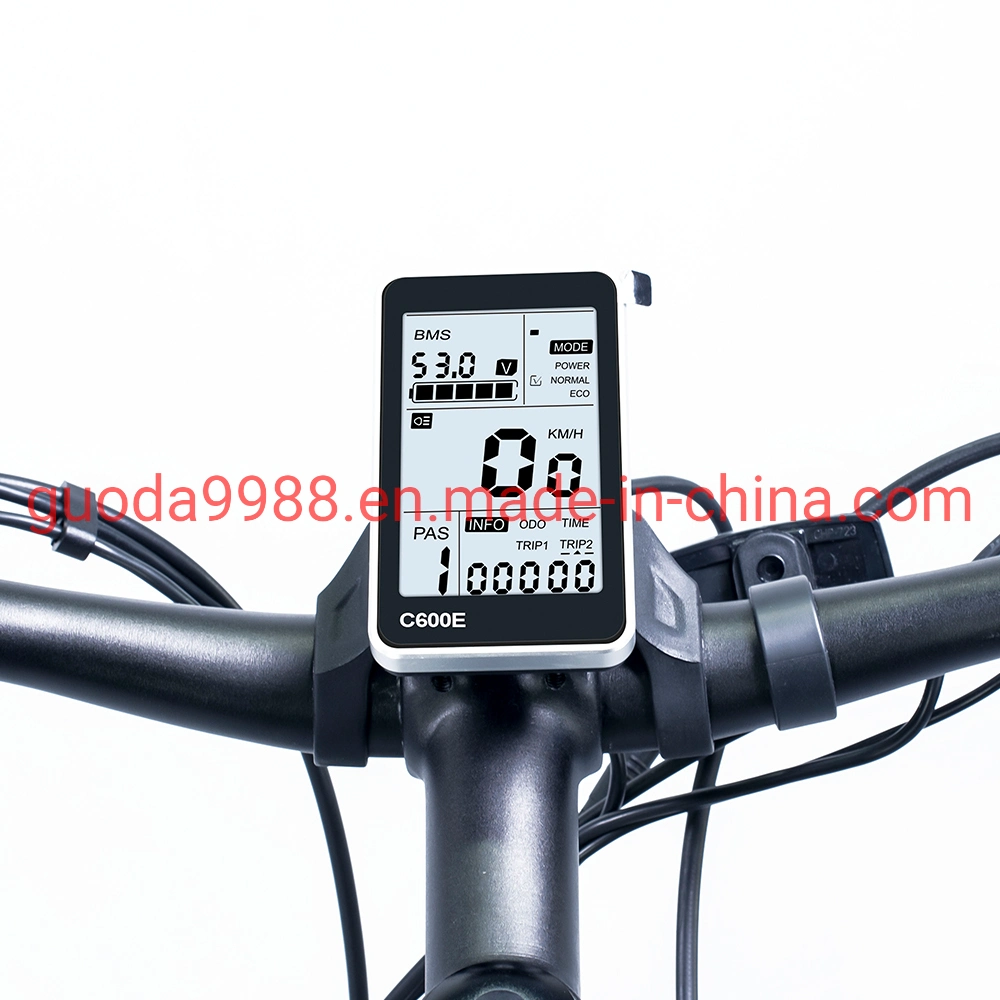 750W Powerful Electric Bicycle 26" Lithium Battery Mountain Electric Bike