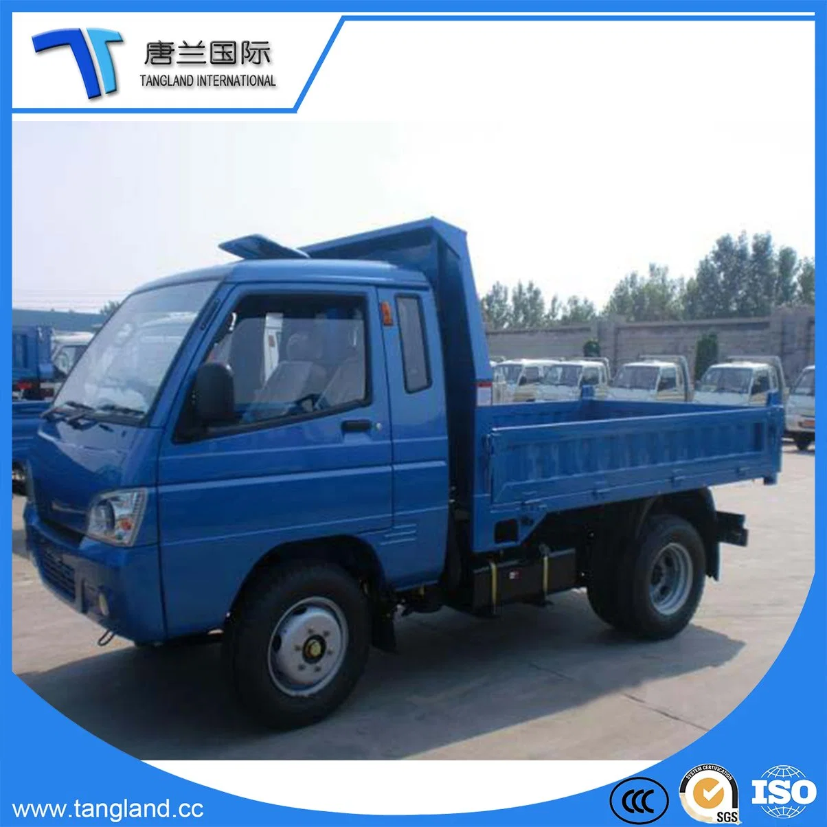 Kipper/Kipper/Dumping Truck mit einreihiger Kabine Benzinmotor aus China