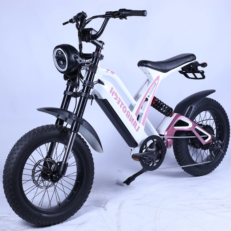 Hot Retro Style Stealth Bomber Moped Fat Tire Electric Dirt Bike