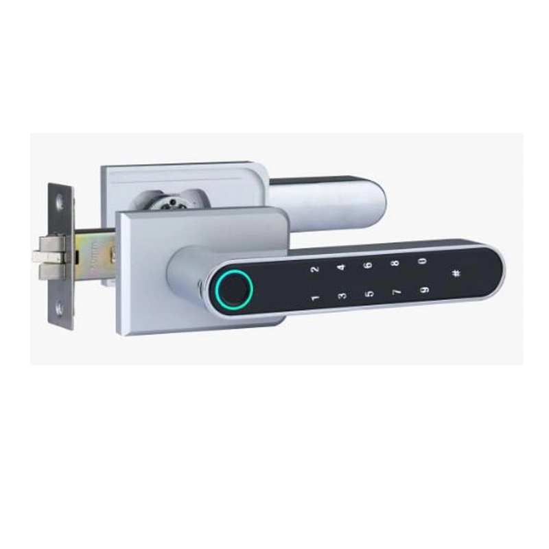 Glass Door Alu. Alloy Smart Door Lock with 60-70mm Latch