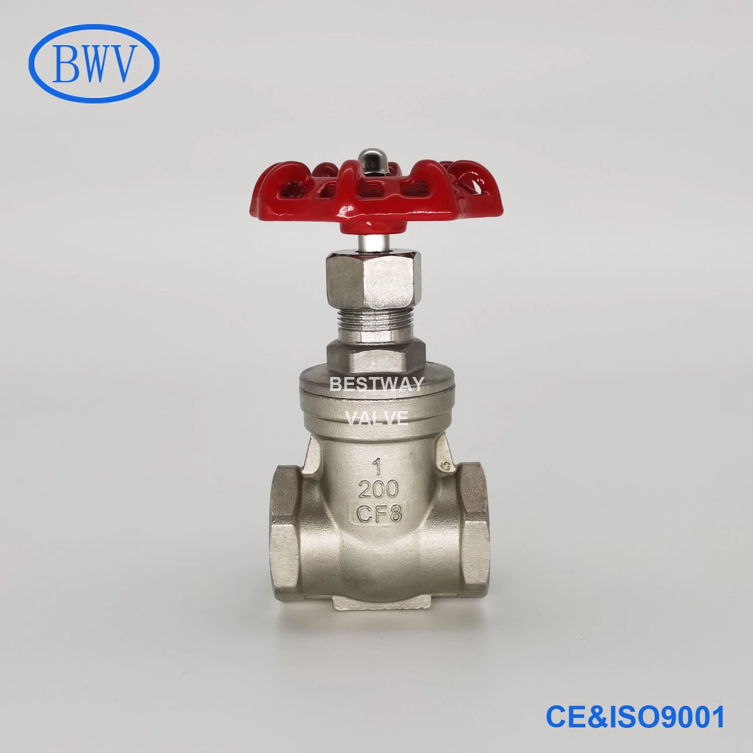 200wog CF8 CF8m NPT/Bsp/BSPP/BSPT Threaded Stainless Steel Gate Valve