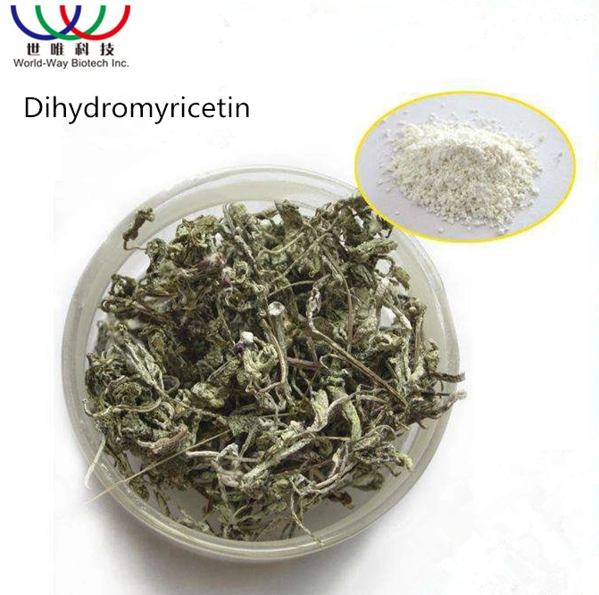 Polvo de dihidromiricina natural 10%~98% DHM/dihidromiricina 98% Extracto de té de Vine