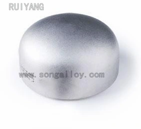 316 304 310 Stainless Steel Welded Pipe Cap