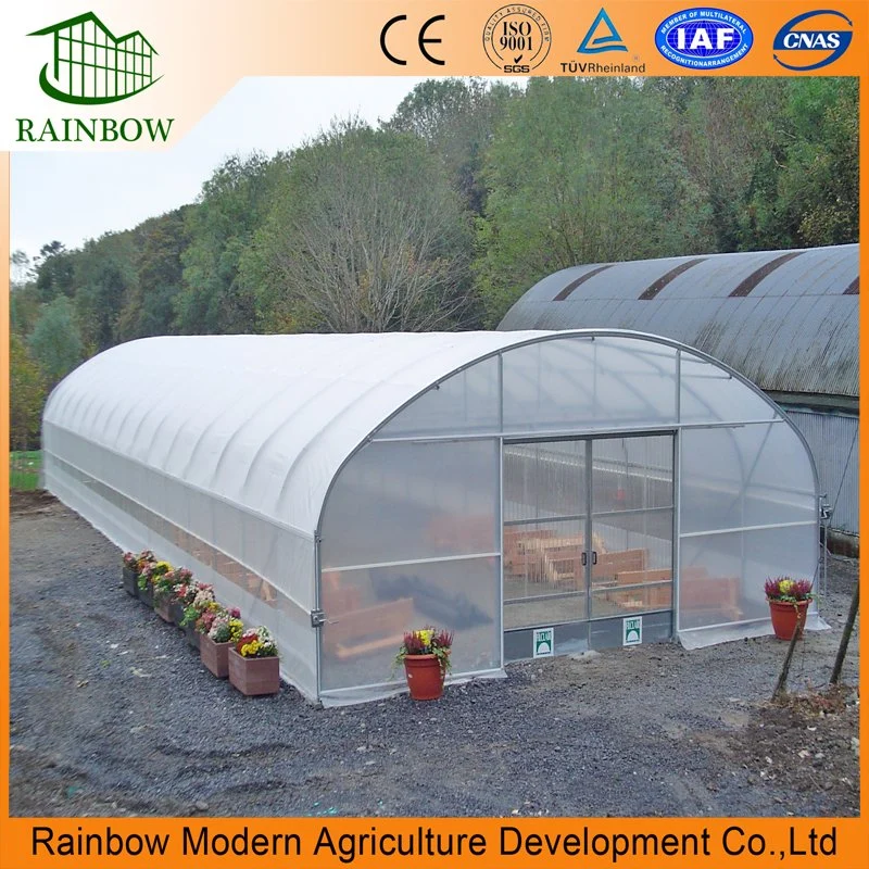 Arch Type Freestanding Tunnel Film Greenhouse