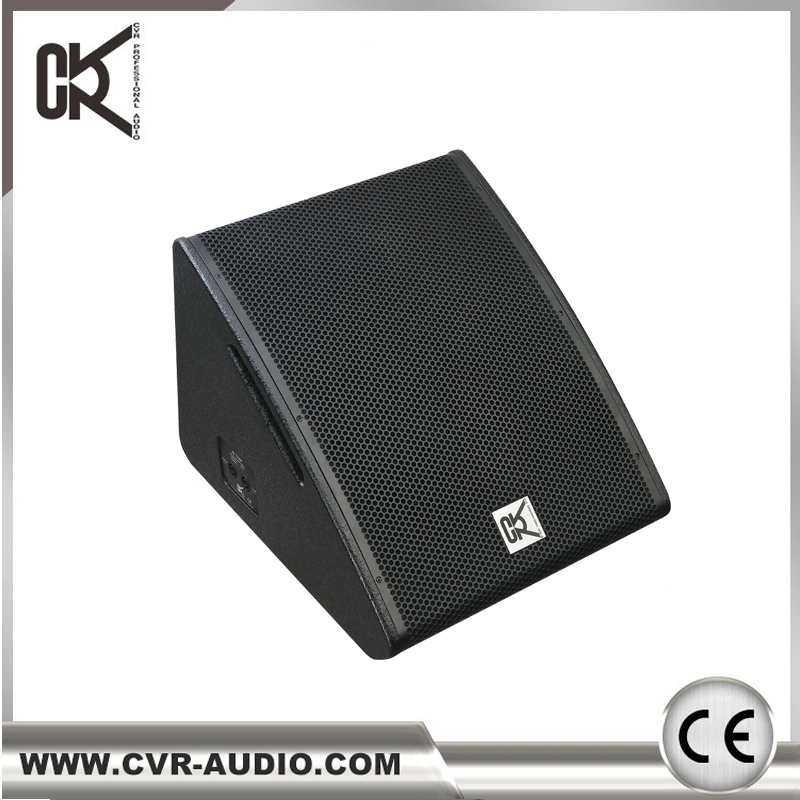 Cvr 300W Live Music Wireless Speaker