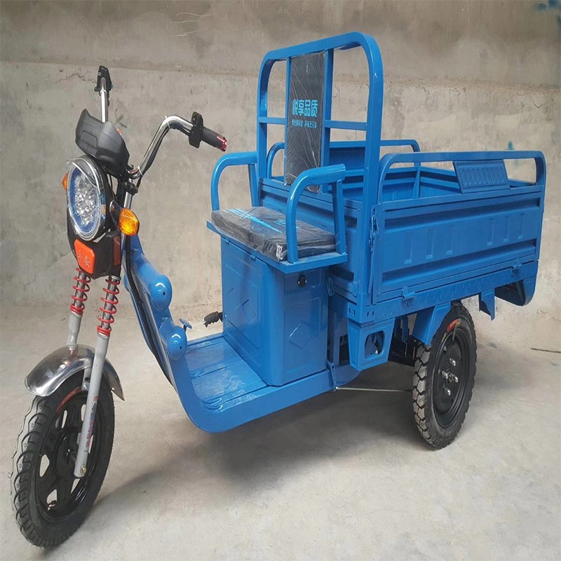 1000W Gear Motor Three-Wheeled Electric Motorcycle with Big Trunk