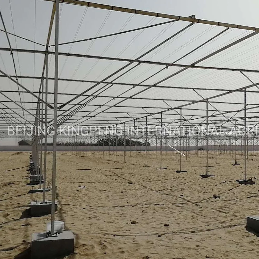 UV Plastic Film Greenhouse in Single Layer for Agriculture