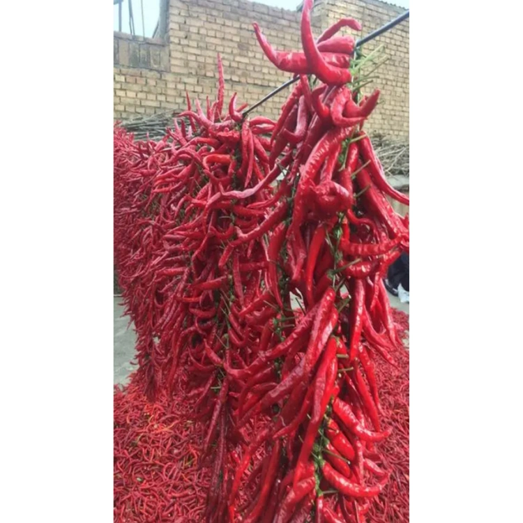 Natural Dried Red Chili 819 Super Hot Chilis