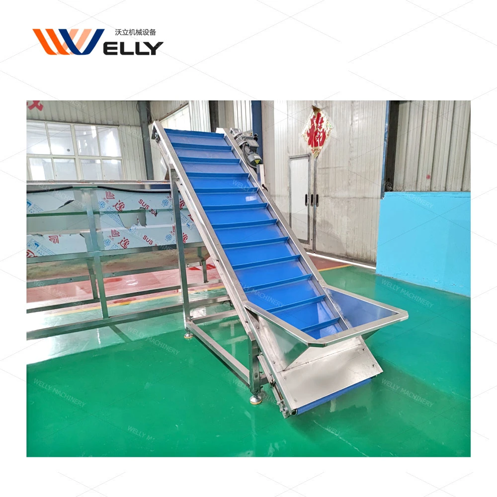 Popular Mesh Belt Elevator for Processing French Fries Production Line