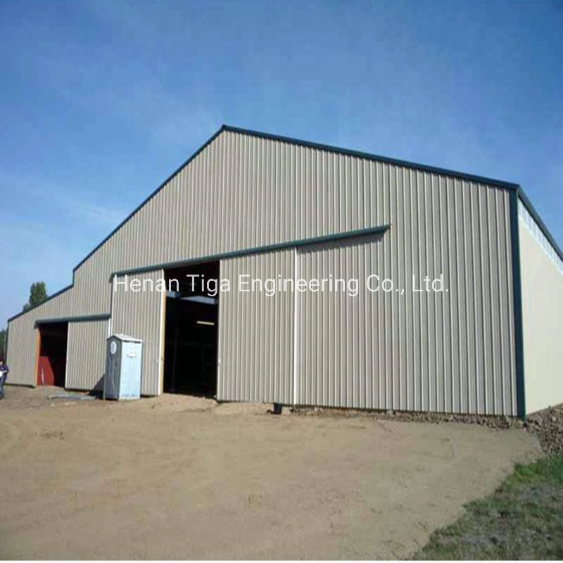 Prefabricated Light Steel Structural House Factory Warehouse Construction