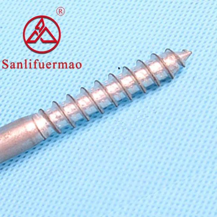 Hot-Dipped Galvanized Hex Lag Screws Flat Wood Screws, Forging, Fastener, Power Fitting