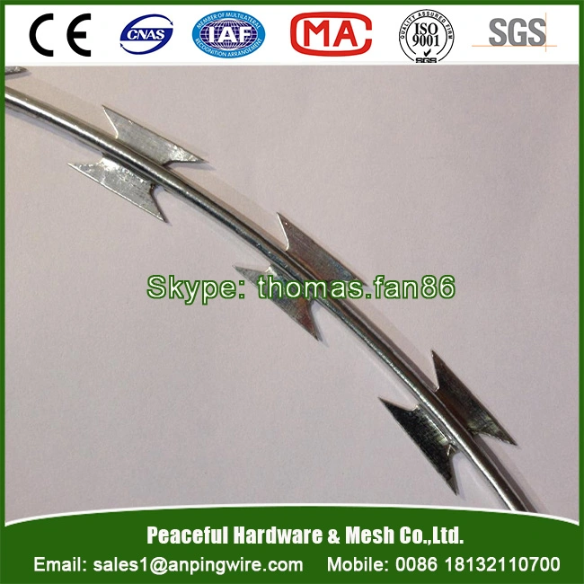 Razor Tape Concertina Wire for Stainless Steel or Galvanized Bto-22