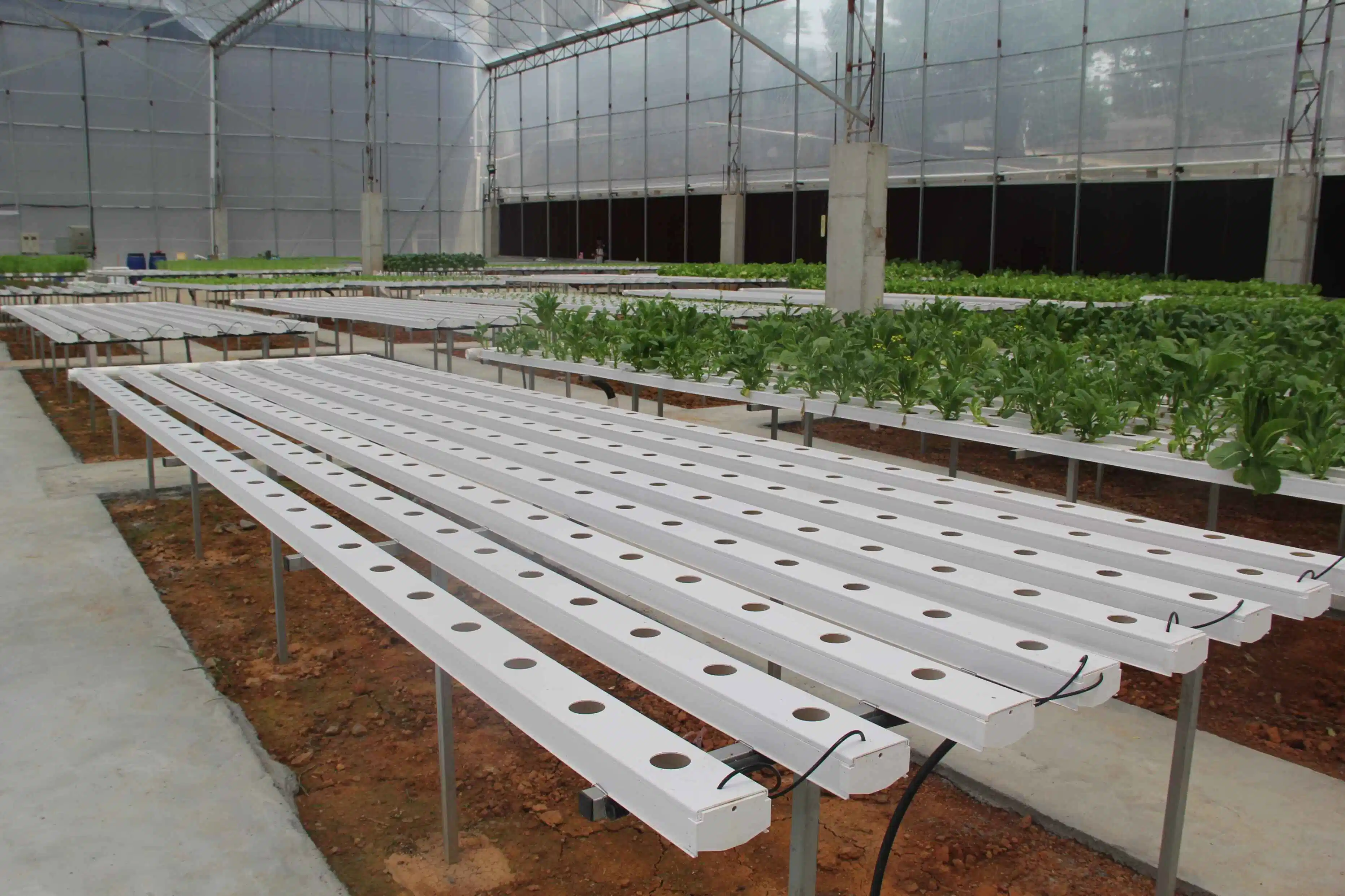 Hydroponic Farm Vegetables Lettuce Salad Grow Plastic Trough