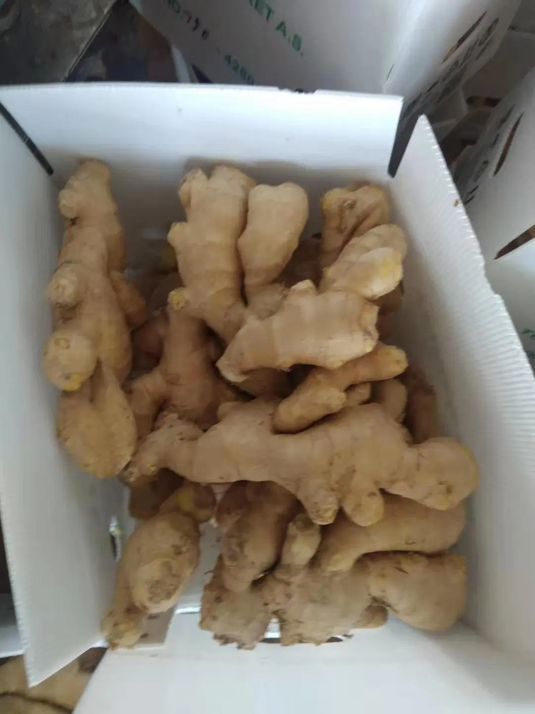 Chinese Mature Ginger Sold Directly From The Factory