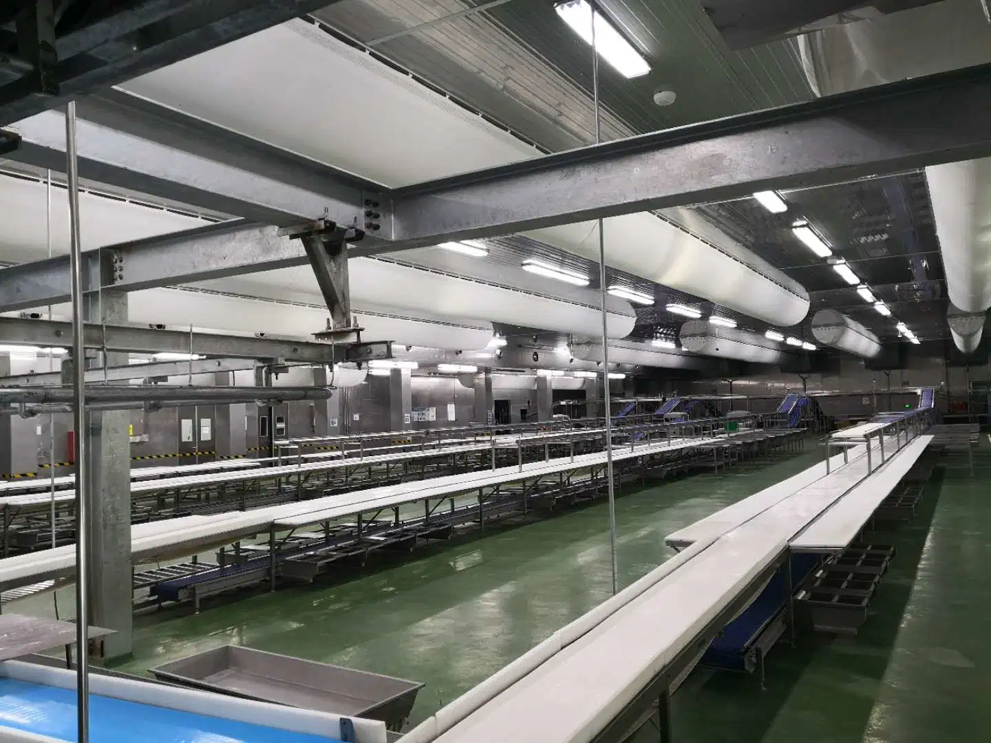 Meat Cutting Process Conveyor Belt Packing Line