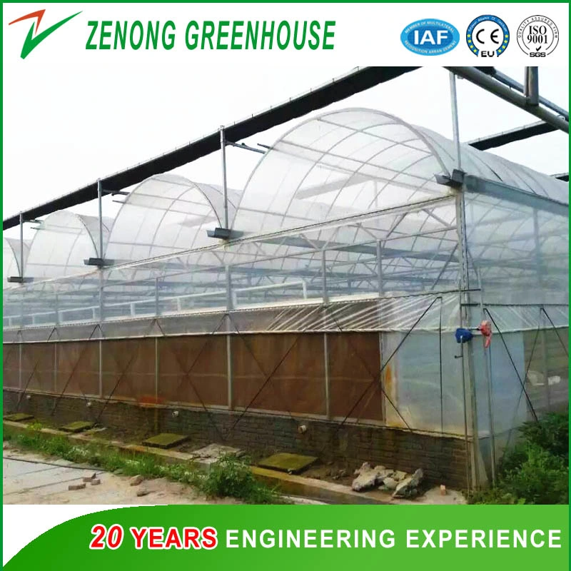 Agricultural Hydroponic Systems for Greenhouse for Exhibition/Seed-Breeding/Flower/Vegetable/Eco Restaurant