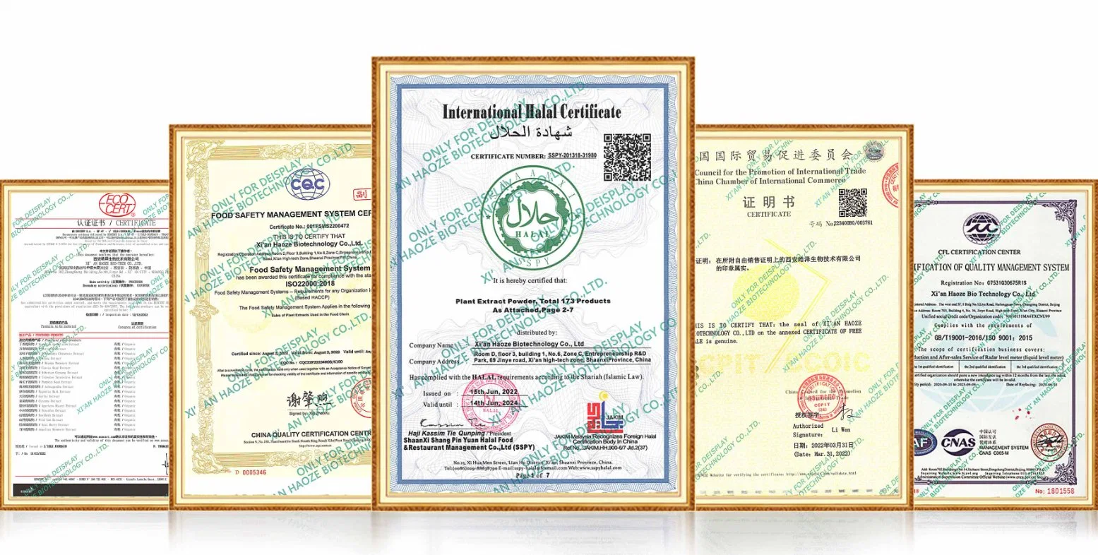 Nootrópicos CAS 110958-19-5 de polvo de Fasoracetam