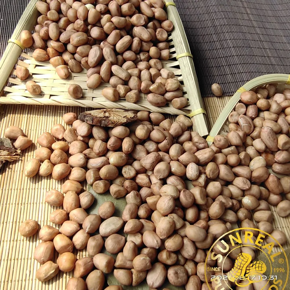 Roasted Peanut Kernels with Skin/Hsuji/Good After-Sale Service/Premium