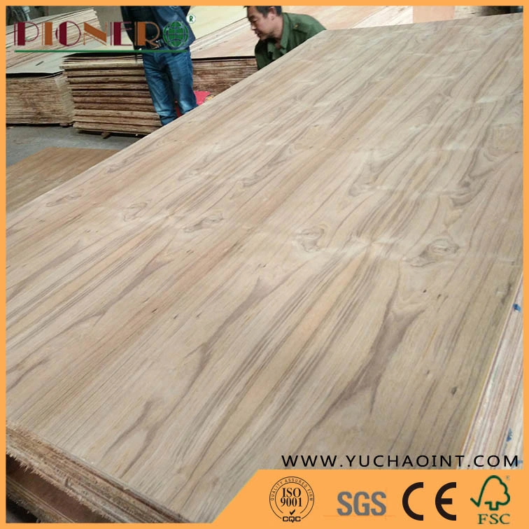 1220X2440 Fancy Plywood Red Oak/Teak/Walnut/Sapele/Nature Ash/Beech Plywood From Linyi