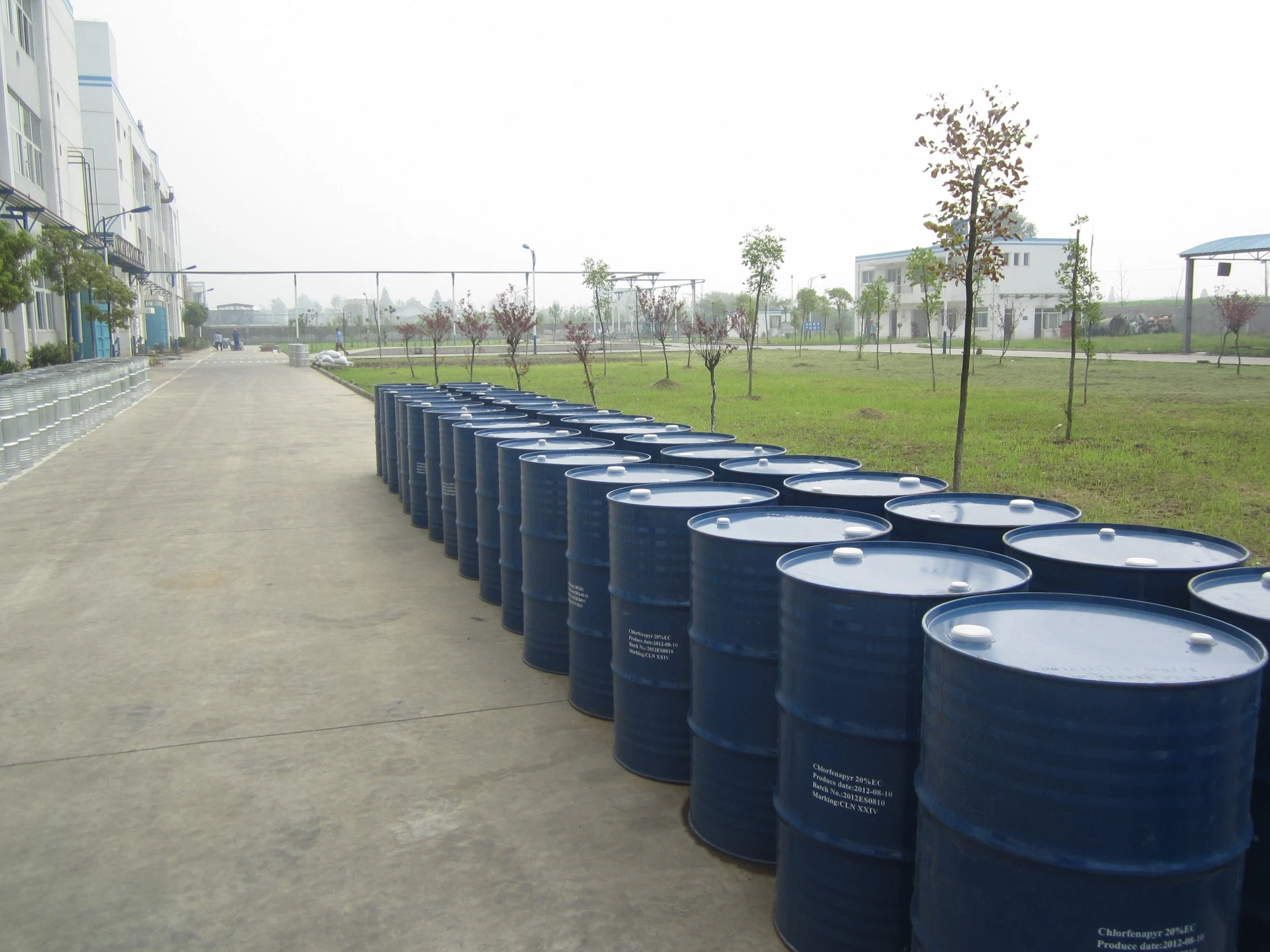 CAS 50-65-7 Powder Molluscicide & Insecticide Pesticide Niclosamide 70% Wp