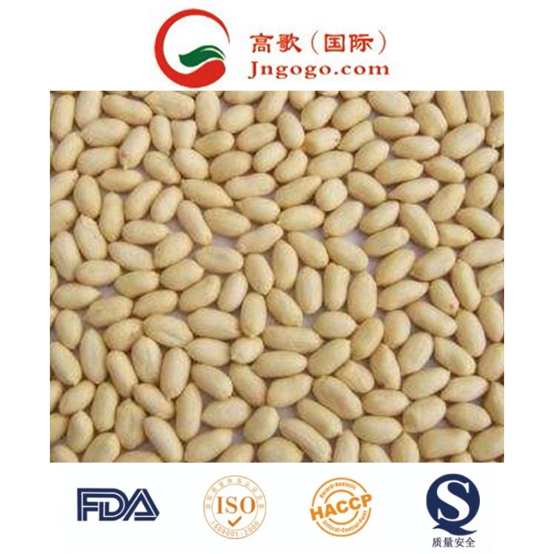 High quality/High cost performance /New Crop Peanut Kernals