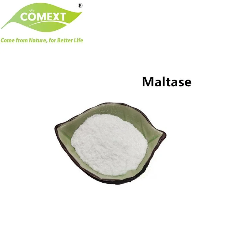 Comext Bulk Supply Food Additive Enzyme Powder Maltase with Free Sample