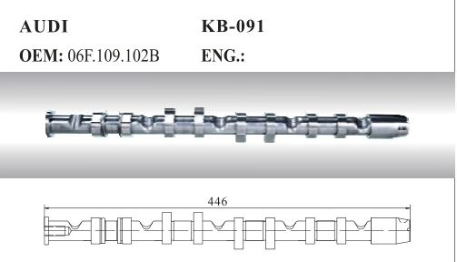 Auto Camshaft for Audi (06F. 109.102B)