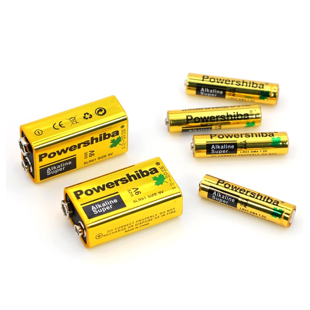 Factory Hot Sale Alkaline Lr6 AA 1.5V Primary Dry Cell Batteries